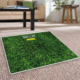 Електронні персональні ваги Maestro (150 кг, 2 батарейки ААА, MR-1824)