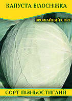 Насіння капусти Білосніжка, 0,5 кг