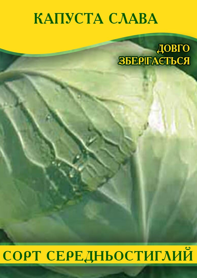 Насіння капусти Слава, 100 г
