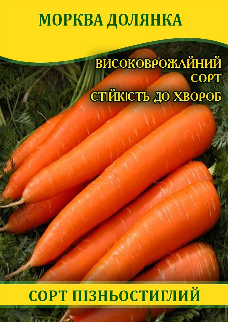 Насіння моркви Долянка, 1кг