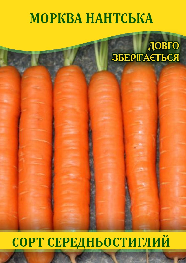 Насіння моркви Нантська, 1кг