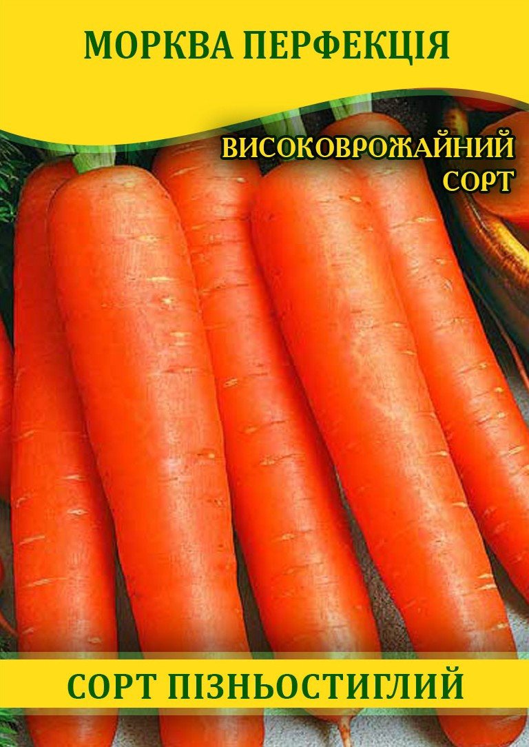 Насіння моркви Перфекція, 1кг