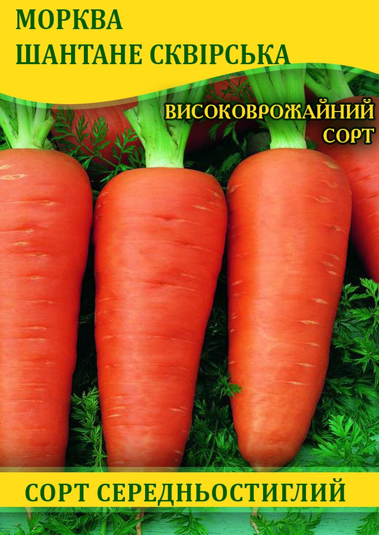 Насіння моркви Шантане Сквирська, 100г