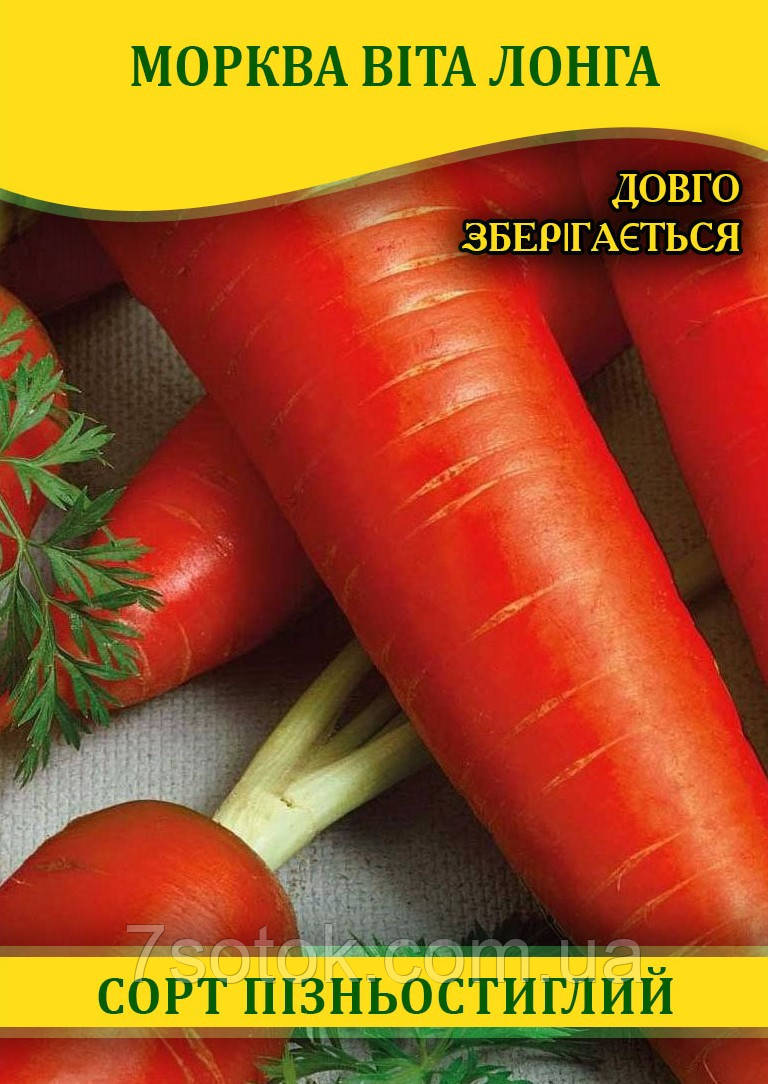 Насіння моркви Віта Лонга, 1 кг