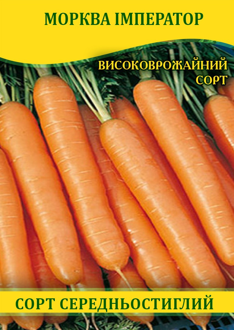 Насіння моркви Імператор, 1 кг