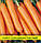 Насіння моркви Імператор, 1 кг, фото 2
