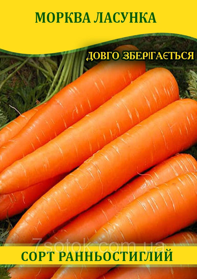 Насіння моркви Ласун, 1 кг