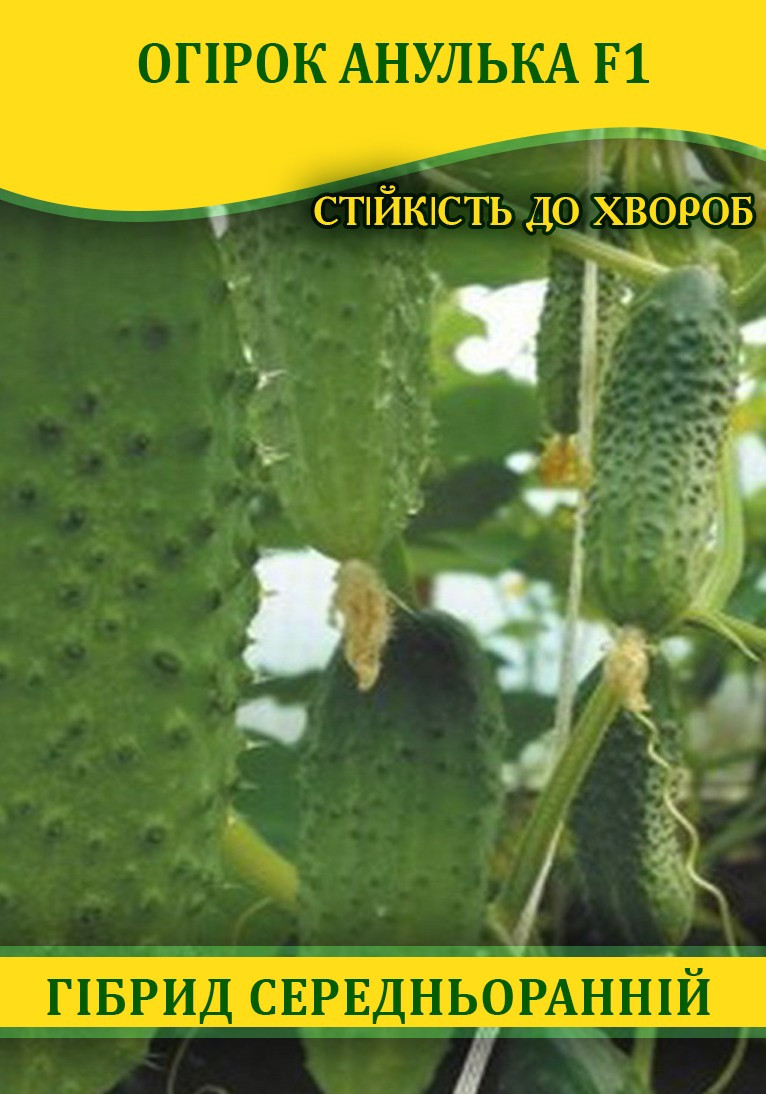 Насіння огірка Анулька F1, 100г