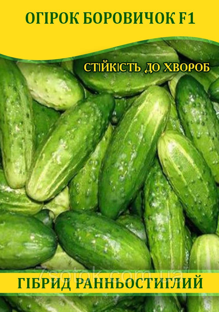 Насіння огірка Боровичок F1, 100г
