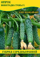 Насіння огірка Виноградний Крон F1 інкрустований, 100г