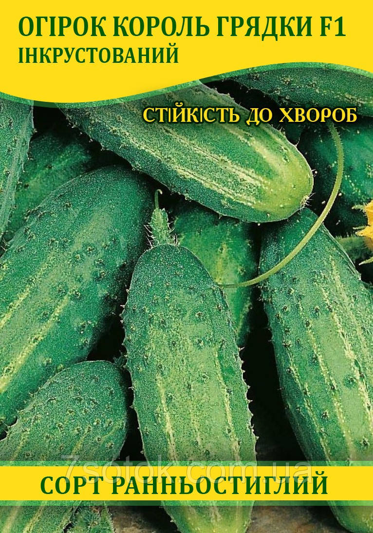 Насіння огірка Король Грядки F1, 0,5 кг
