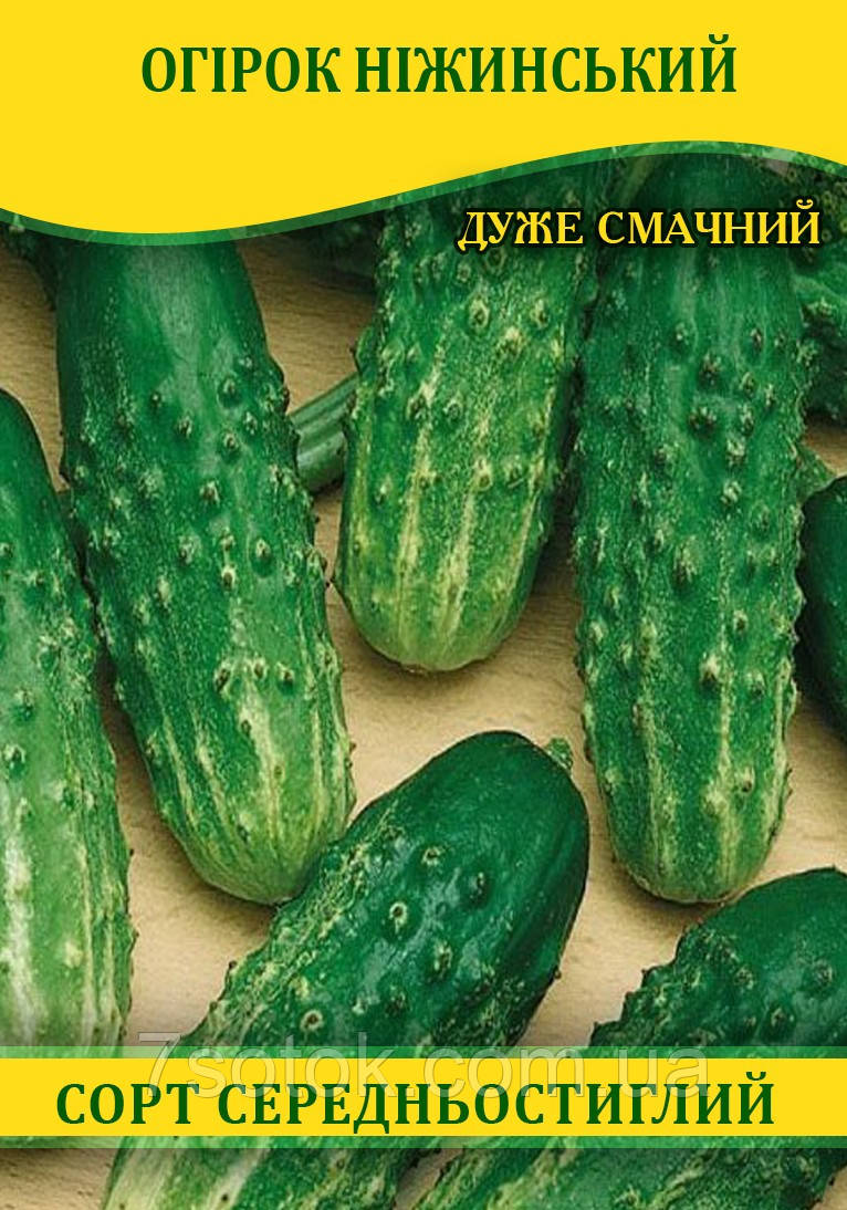 Насіння огірка Ніжинський, 0,5 кг
