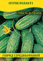 Насіння огірка Полан F1, 100г
