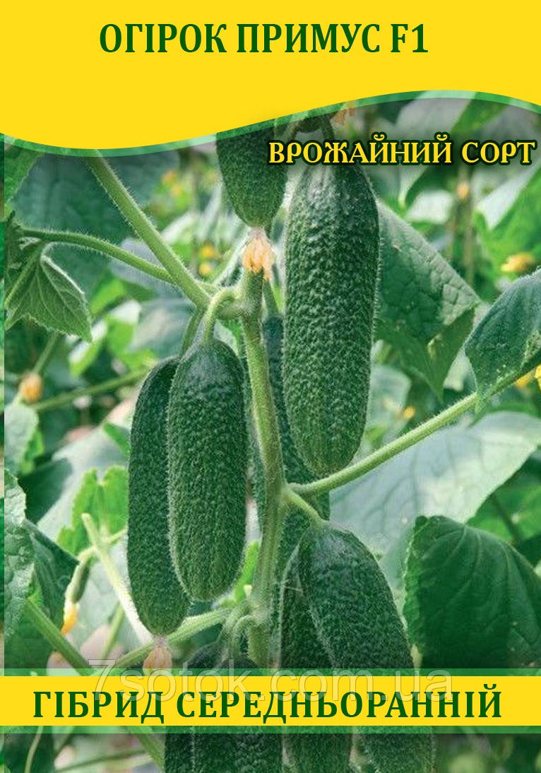 Насіння огірка Примус F1, 0,5 кг