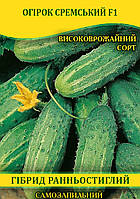 Насіння огірка Сремський F1, 100г