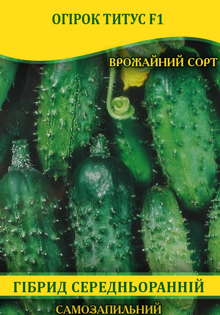 Насіння огірка Титус F1, 100г