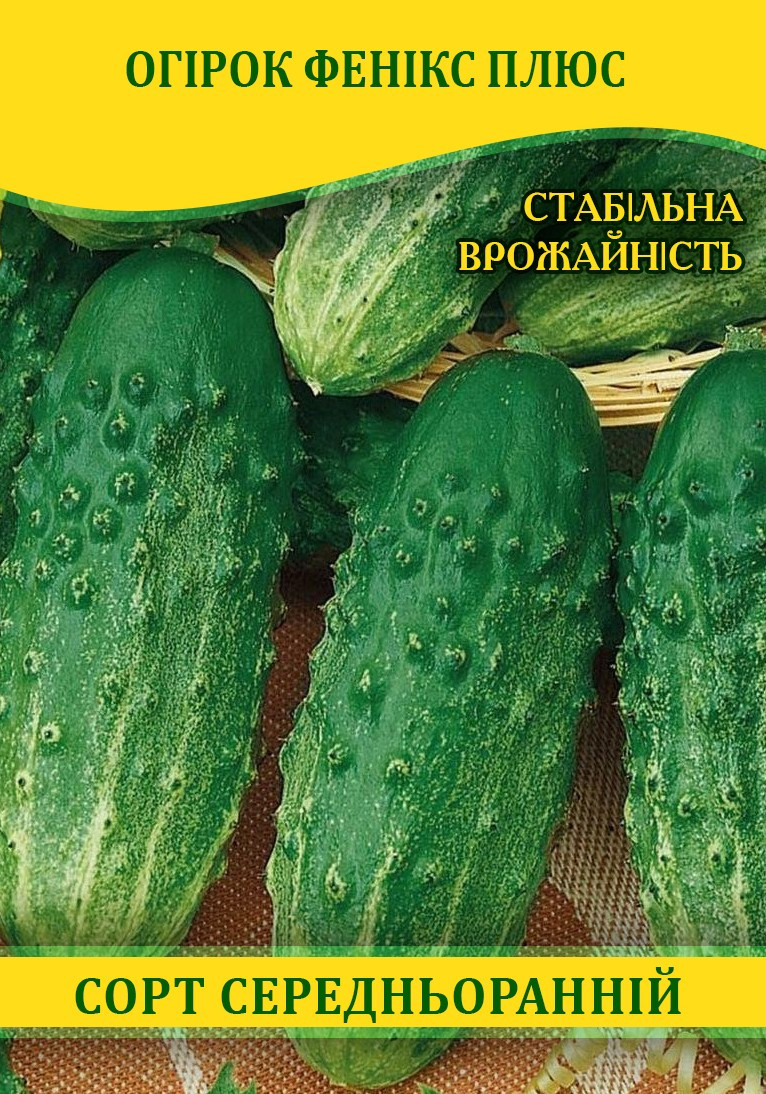 Насіння огірка Фенікс Плюс, 0,5 кг
