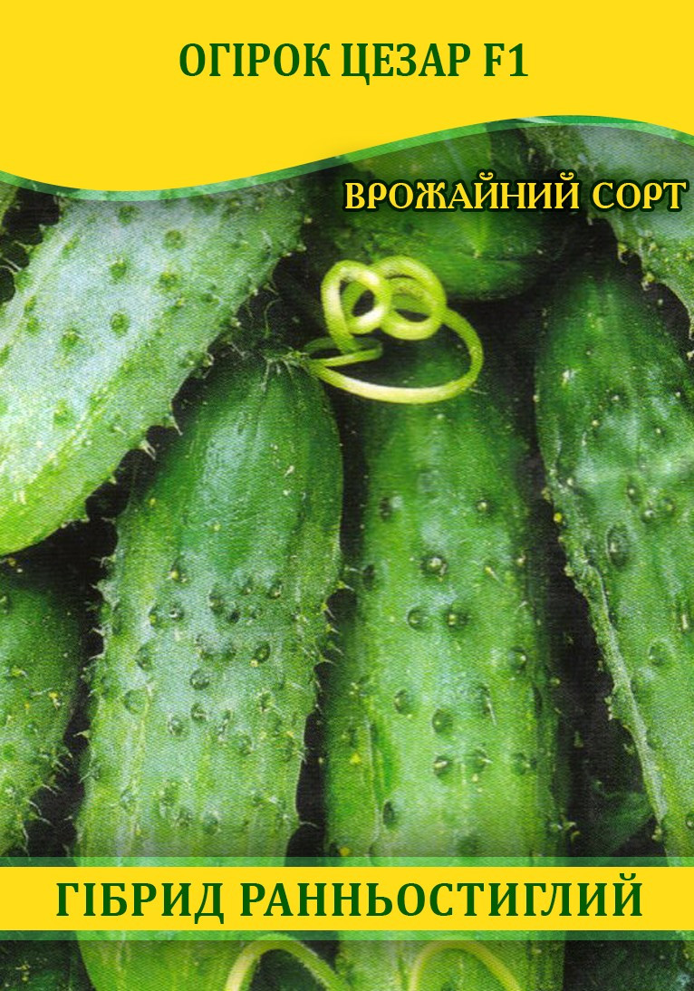 Насіння огірка Цезар F1, 0,5 кг