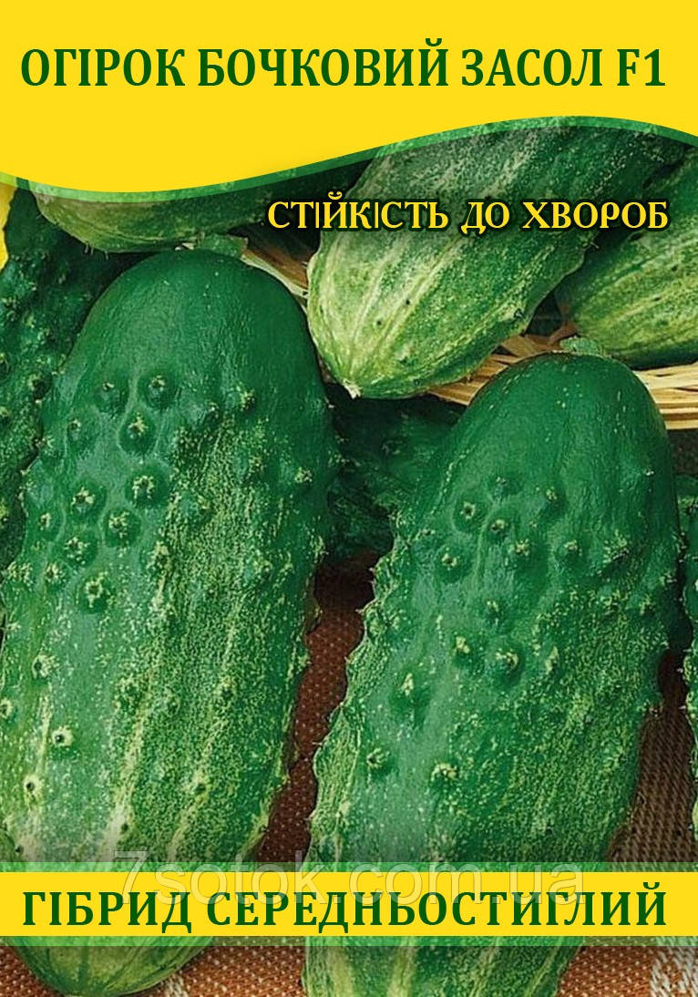 Насіння огірка Бочковий Засіл F1, 0,5 кг