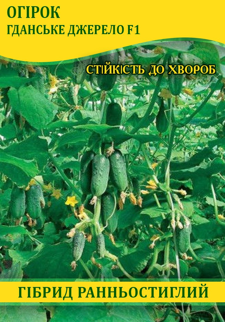 Насіння огірка Гданський Джерело F1, 100г