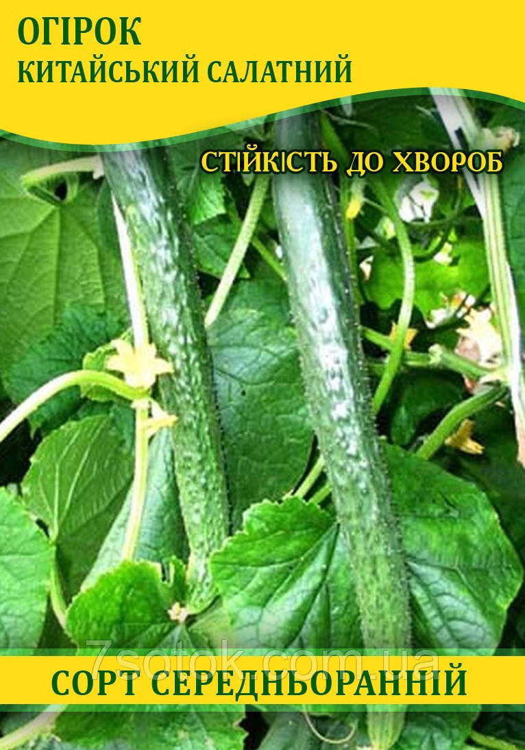 Насіння огірка Китайський Салатний, 0,5 кг