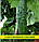 Насіння огірка Фенікс 640, 0,5 кг, фото 2