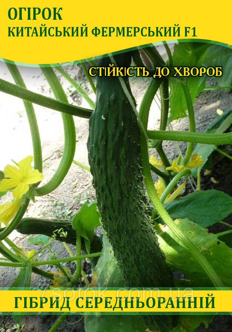 Насіння огірка Китайський Фермерський F1, 0,5 кг