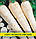 Насіння петрушки Берлінська коренева, 100г, фото 2