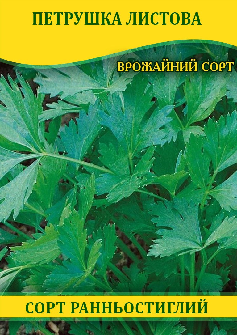 Насіння петрушки Листове, 100г