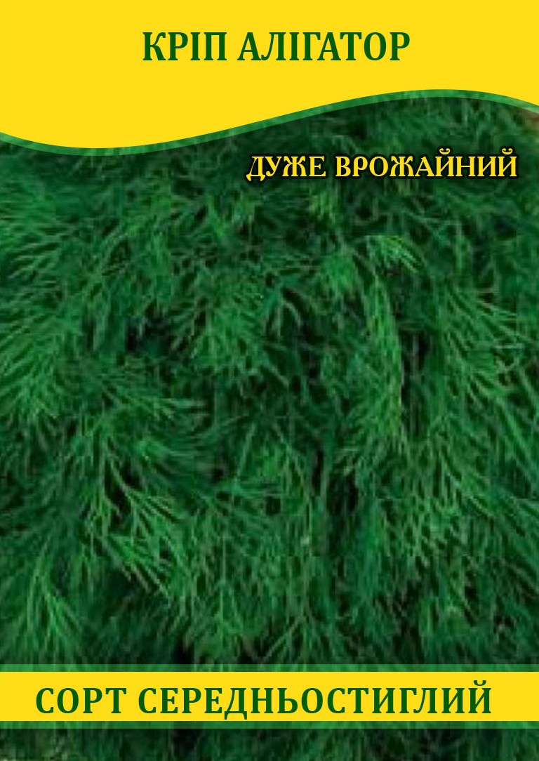 Насіння кропу Алігатор, 100г