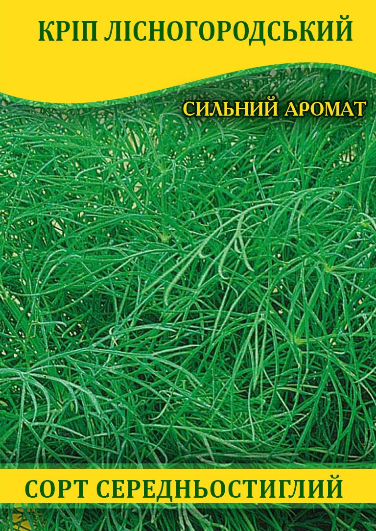 Насіння кропу Лісногородський, 1кг