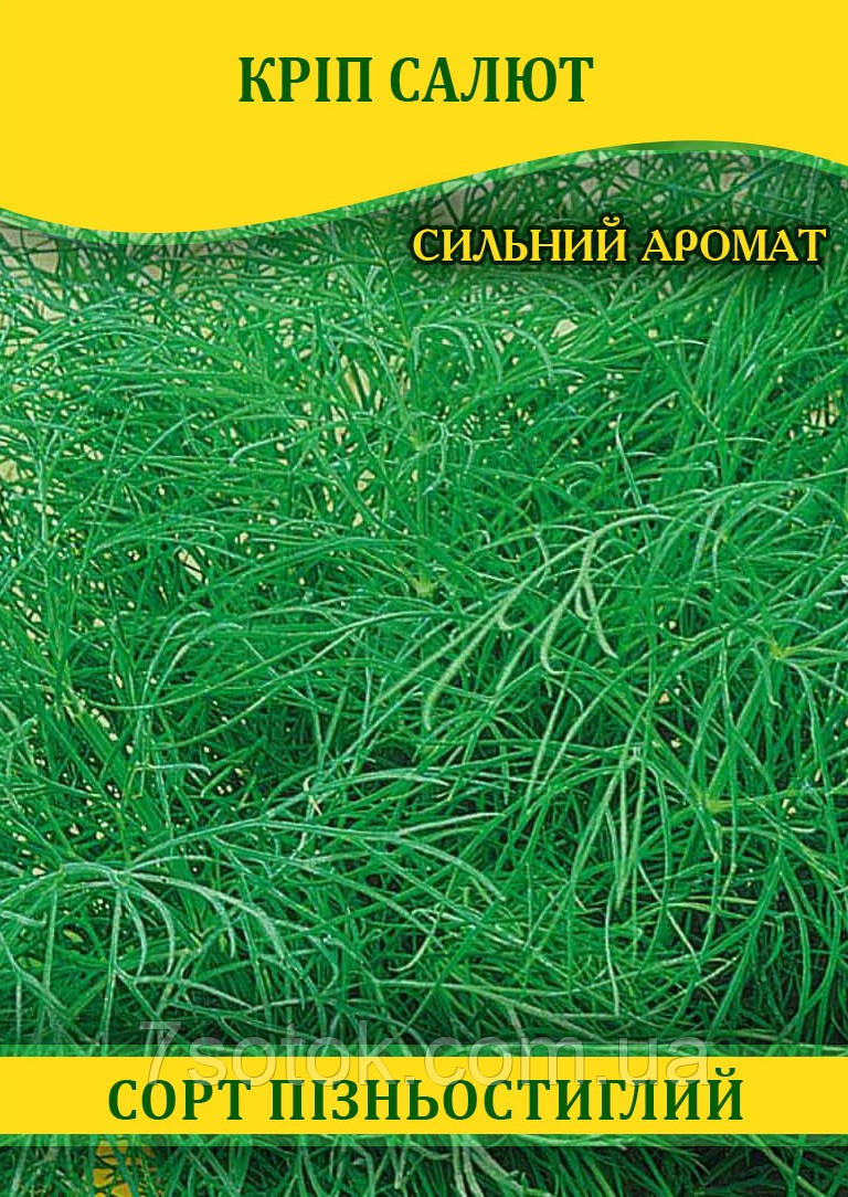Насіння кропу Салют, 1кг