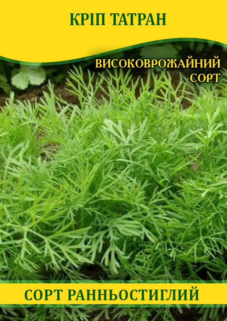 Насіння кропу Татран, 100 г