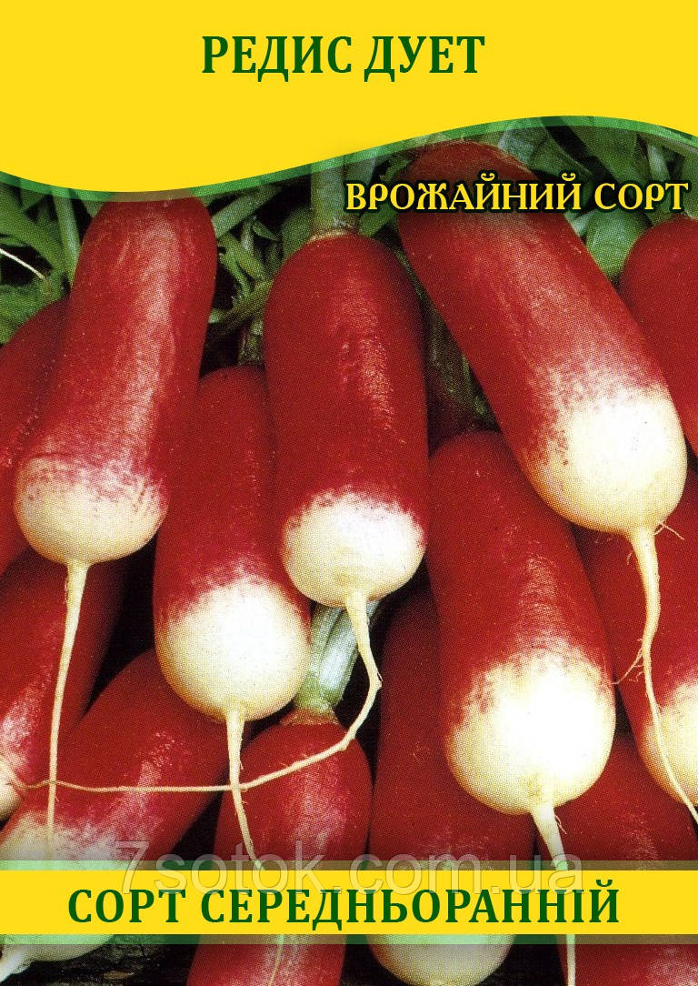 Насіння редиски Дует, 100г
