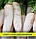 Насіння редиски Крижана Сосулька, 1кг, фото 2