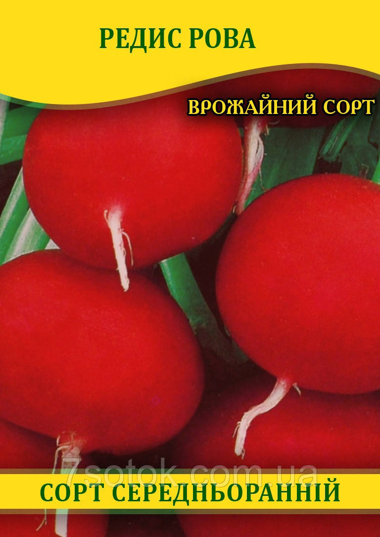 Насіння редиски Рова, 1кг