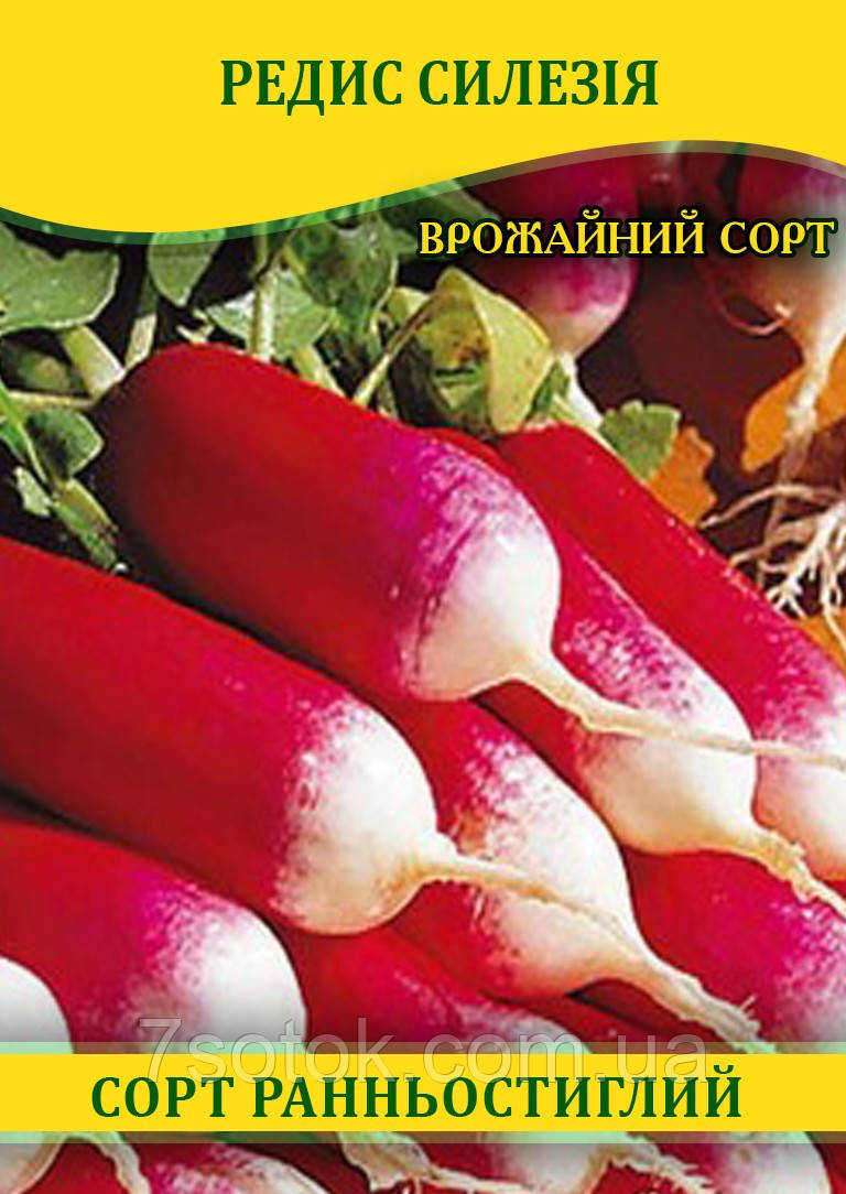 Насіння редиски Сілезія, 1кг