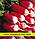 Насіння редиски Ополянка, 1кг, фото 2