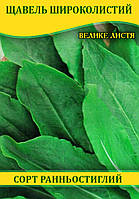 Насіння щавлю Широколисте, 0,5 кг