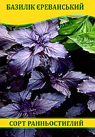 Насіння базиліка Єреванський Фіолетовий, 0,5 кг