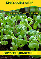 Насіння крес салату Ажур, 0,5 кг