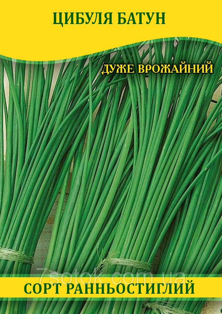 Насіння цибулі Батун, 0,5 кг