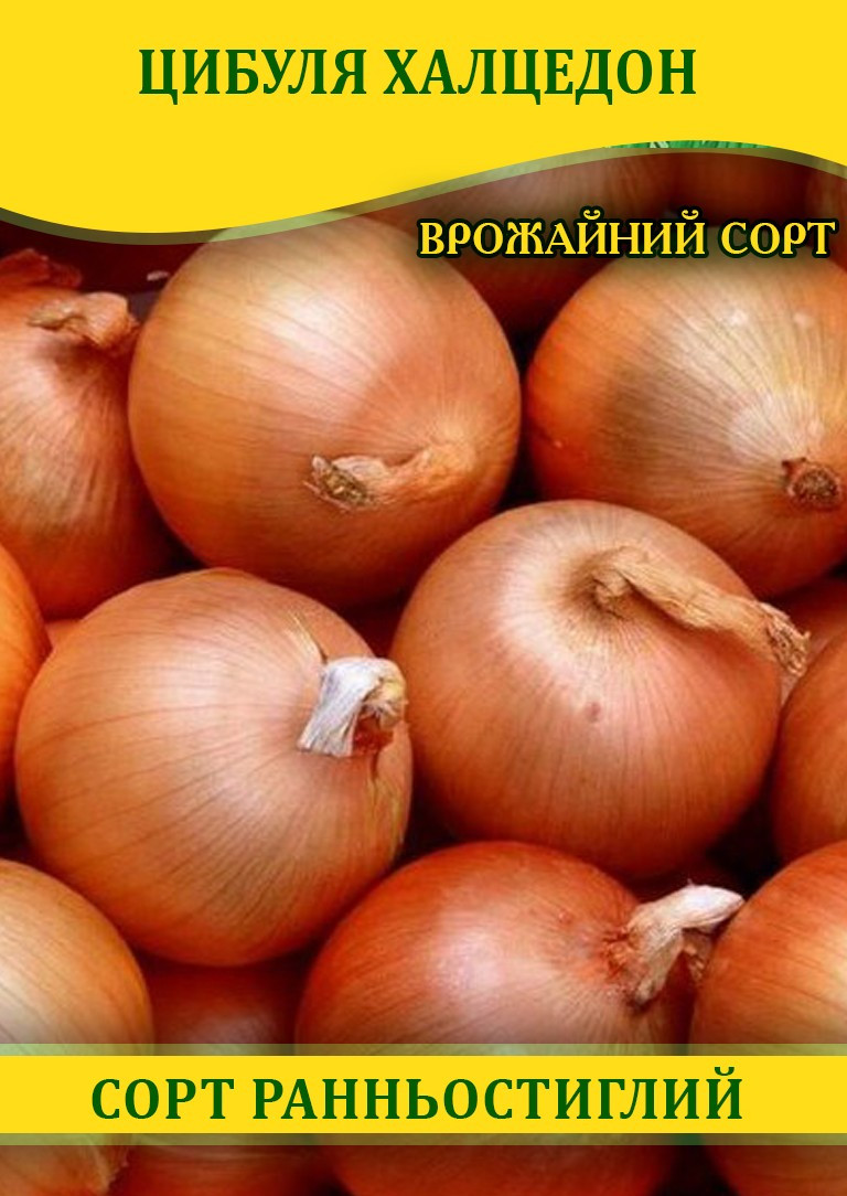 Насіння цибулі Халцедон, 100г