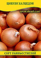 Насіння цибулі Халцедон, 0,5 кг