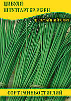 Насіння цибулі Штутгартер Різен, 0,5 кг