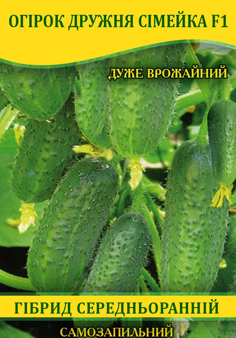Насіння огірка Дружна Сімейка F1, самозапильні, 100г