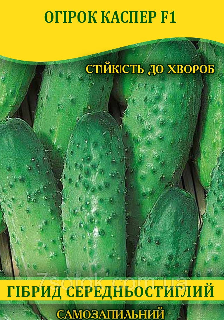 Насіння огірка Каспер F1, самозапильні, 100г