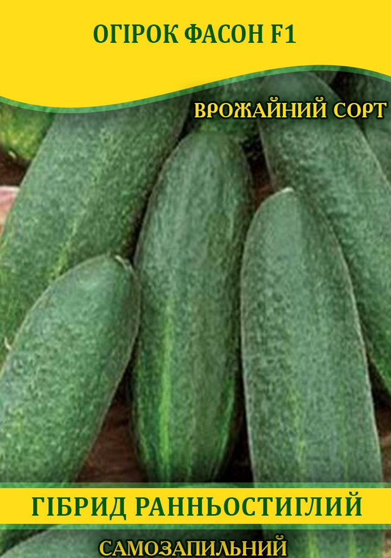 Насіння огірка Фасон F1, самозапильні, 100г