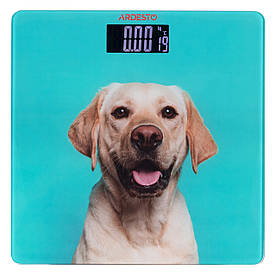 Ваги підлогові (150 кг, 2 шт AAA, Ardesto SCB-965DOG)