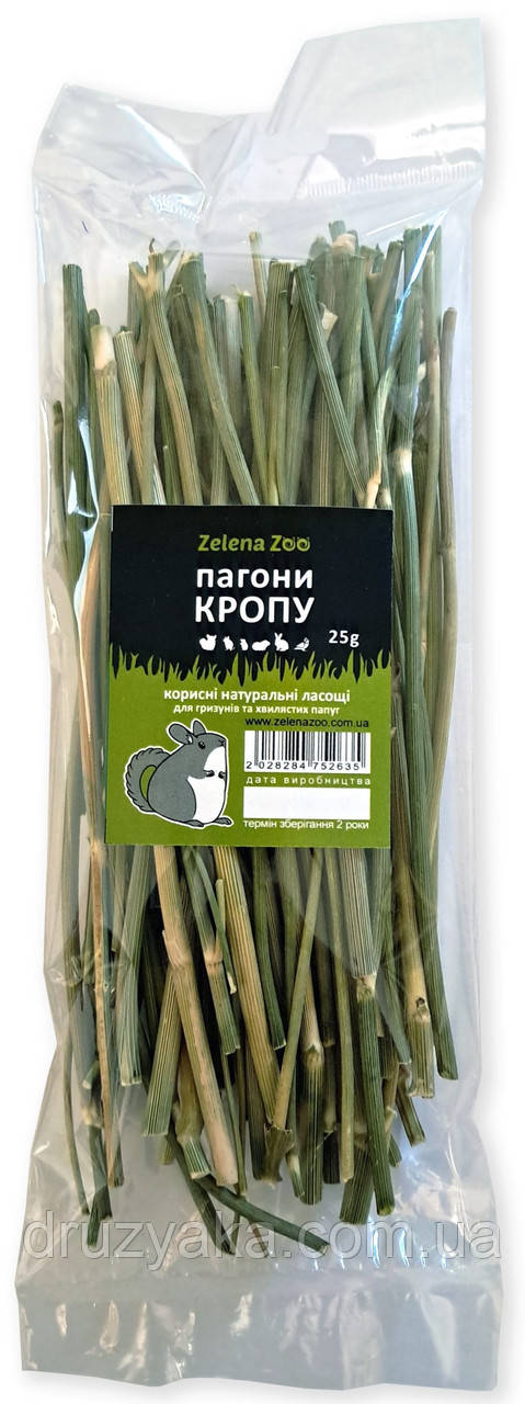 Ласощі для гризунів Пагони кропу 25 г
